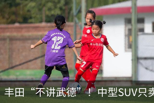丰田“不讲武德”！中型SUV只卖11.38万，高配630km续航+激光雷达